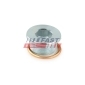 FAST FT94736