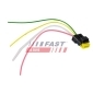 FAST FT76118
