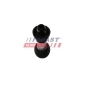 FAST FT09036