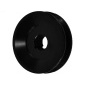 AS-PL AP0010