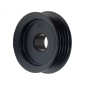 AS-PL AP5002