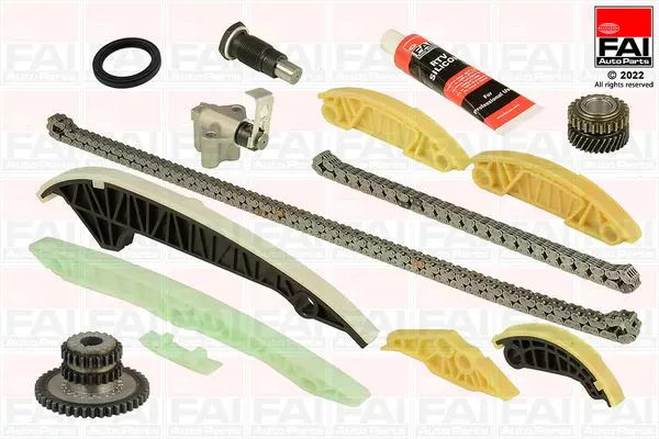 FAI AUTOPARTS TCK223L Комплект цепи привода