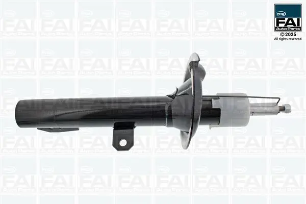 FPSA289 