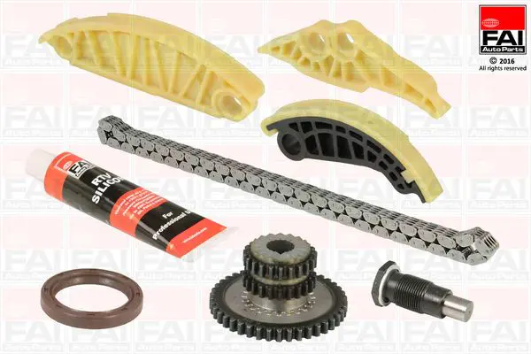 FAI AUTOPARTS TCK175 Комплект цепи привода