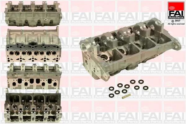 FAI AUTOPARTS BCH028 Головка цилиндра