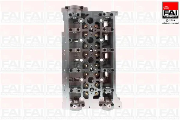 FAI AUTOPARTS BCH090 Головка цилиндра