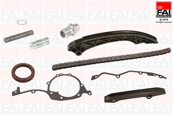 FAI AUTOPARTS TCK170 Комплект цепи привода