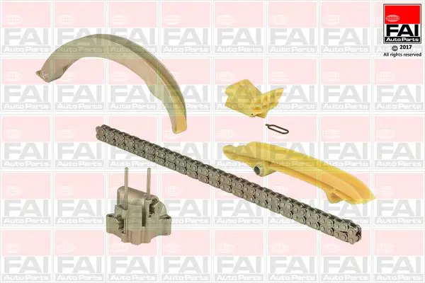 FAI AUTOPARTS TCK213NG Комплект цепи привода