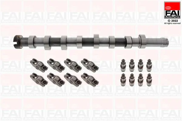 FAI AUTOPARTS CSK1006 Комплект распредвала
