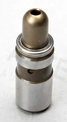 955262 