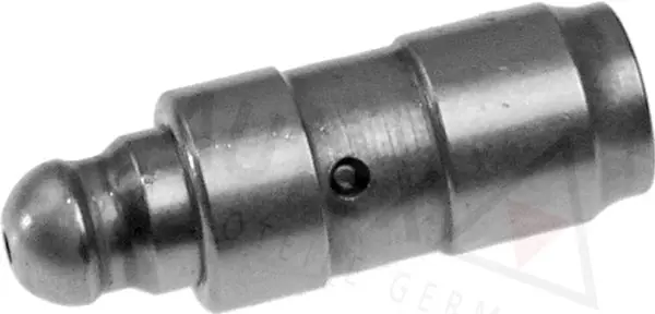 955018 