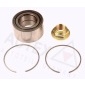 AUTEX 803023