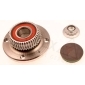 AUTEX 802037