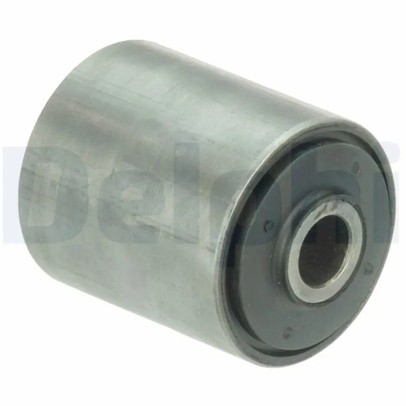 DELPHI TD1193W Подвеска, листовая рессора