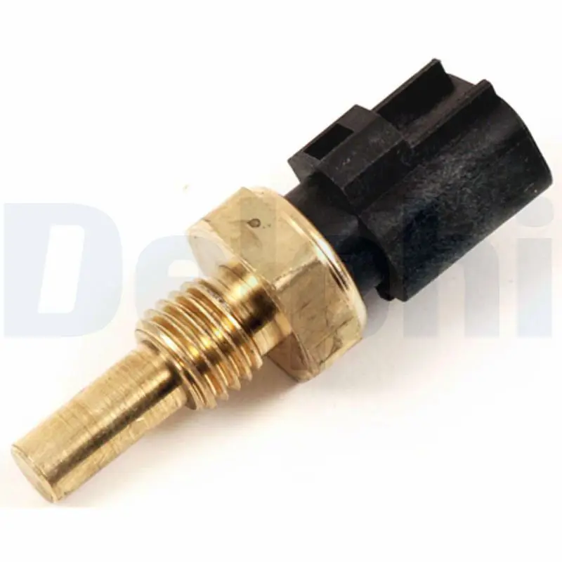 TS1019811B1 DELPHI PARTS