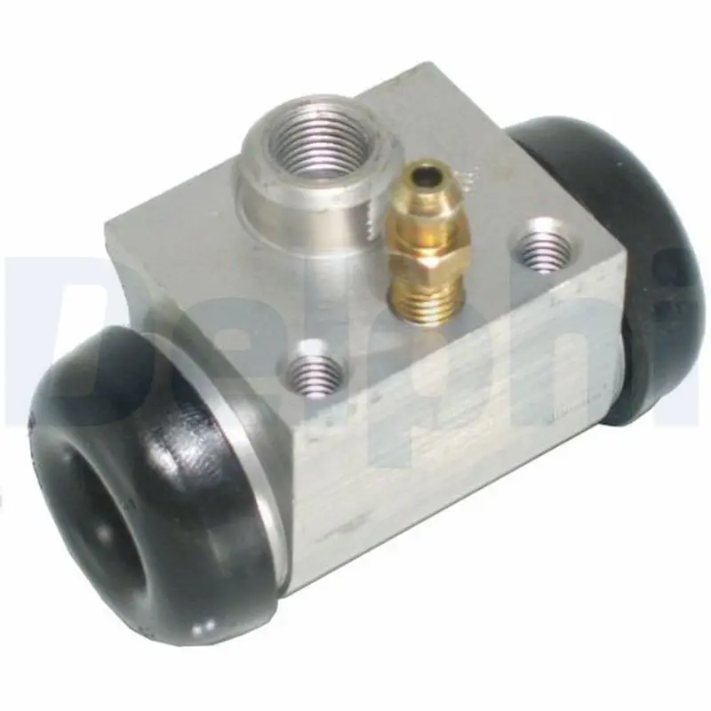 DELPHI LW10101 Цилиндр