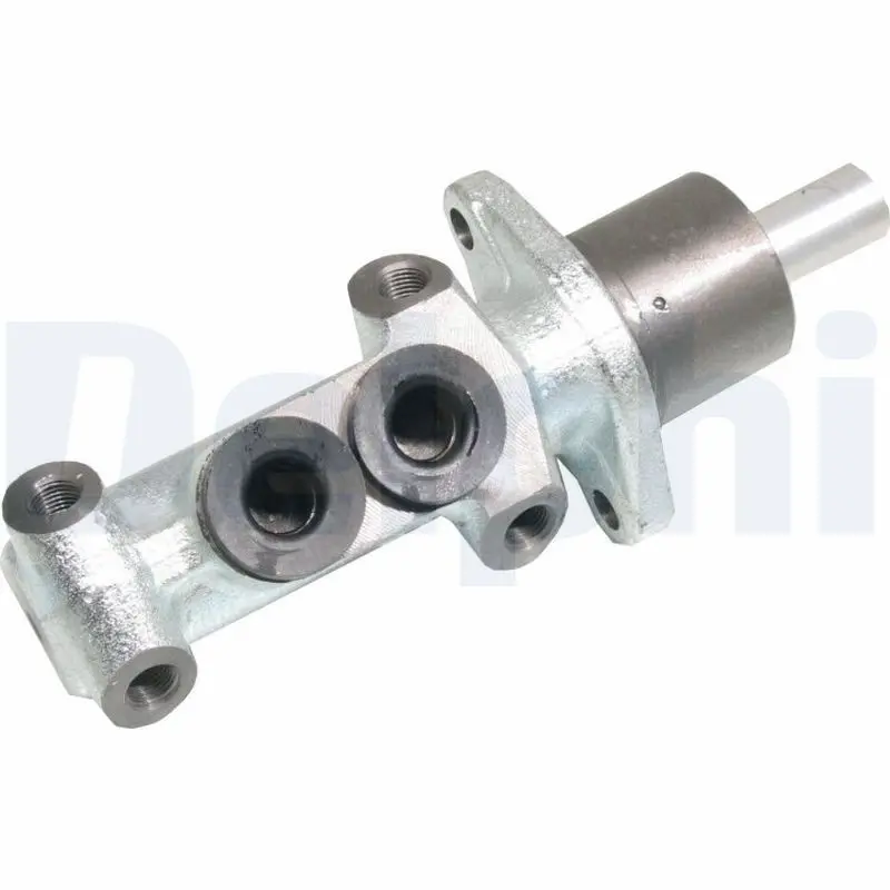 DELPHI LM21007 DELPHI LM21007 Цилиндр