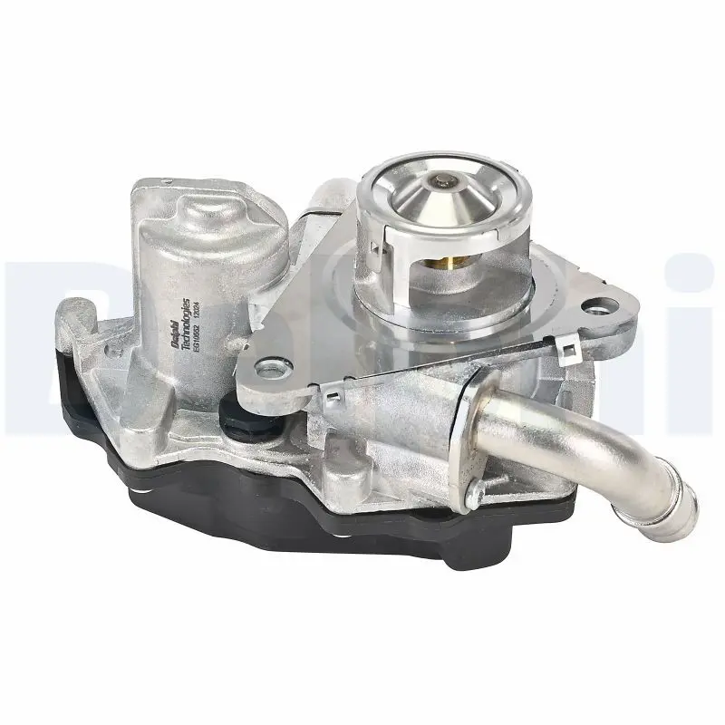 DELPHI EG1055212B1 Клапан возврата ОГ