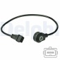 DELPHI AS10217
