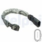 DELPHI AS10242