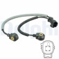 DELPHI AS10239