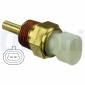 DELPHI TS10460