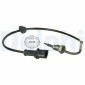 DELPHI TS30029