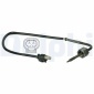 DELPHI TS30053