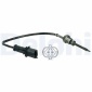 DELPHI TS30065