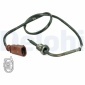 TS30076 DELPHI Датчик, температура выхлопных