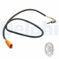 DELPHI TS30196