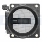 Delphi AF1017612B1