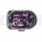DELPHI TS30263