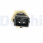 DELPHI TS10466