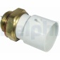 DELPHI TS10290