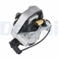 DELPHI TEM289
