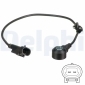 DELPHI AS10255
