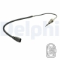 DELPHI TS30172