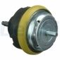 DELPHI TEM113