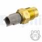TS10524 DELPHI Термовыключатель, вентилятор
