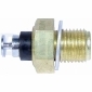 TS10256 DELPHI Датчик