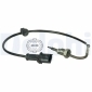 DELPHI TS30029