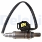 DELPHI ES1091712B1