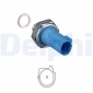 DELPHI SW90067