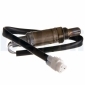 DELPHI ES1059012B1