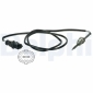 DELPHI TS30013