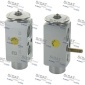 FISPA 42062