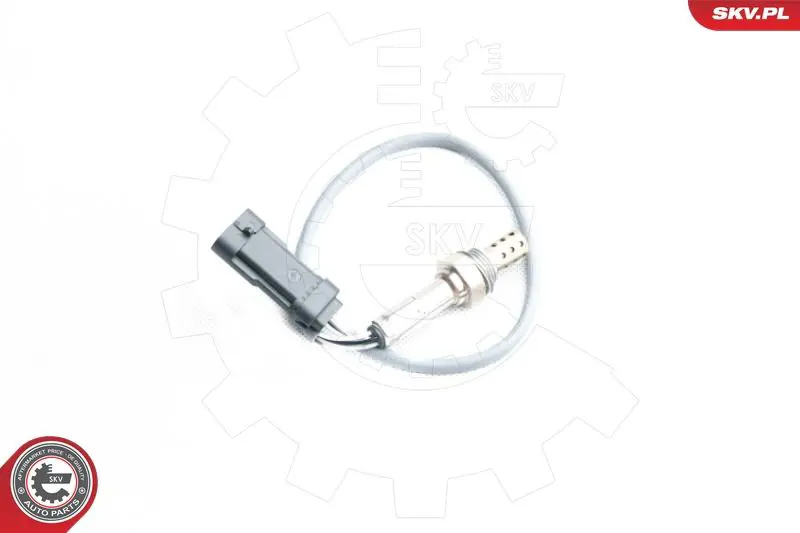 09SKV098 