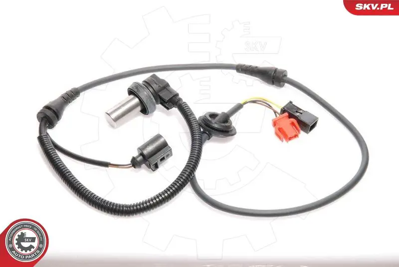 06SKV012 