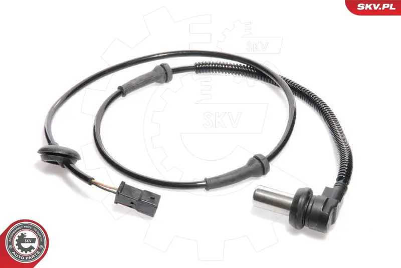 06SKV013 